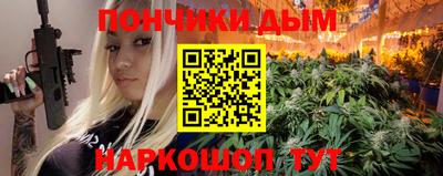 шишки Будённовск
