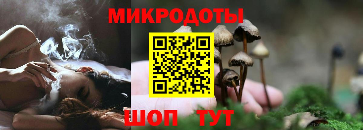 Псилоцибиновые грибы мухоморы  Вход с VPN  Кувандык  хочу   Галлюциногенные грибы Psilocybe 